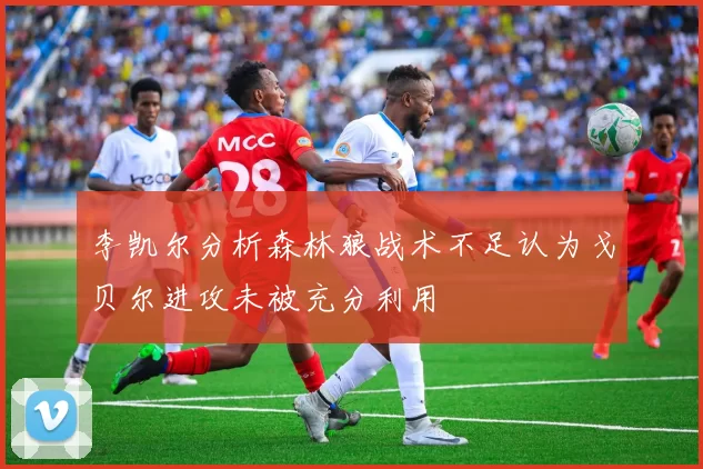 李凯尔分析森林狼战术不足认为戈贝尔进攻未被充分利用
